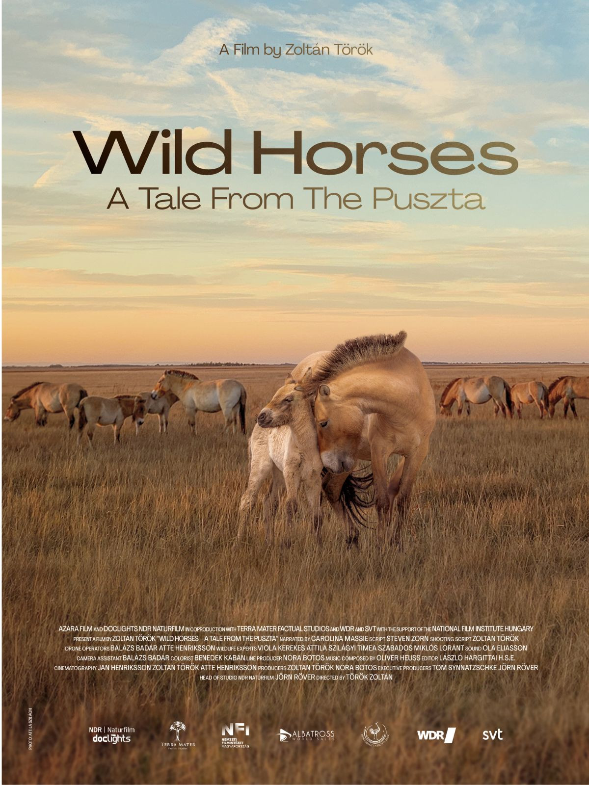 NFI - University Film Club: Zoltán Török: Wild Horses - A Tale from the Puszta