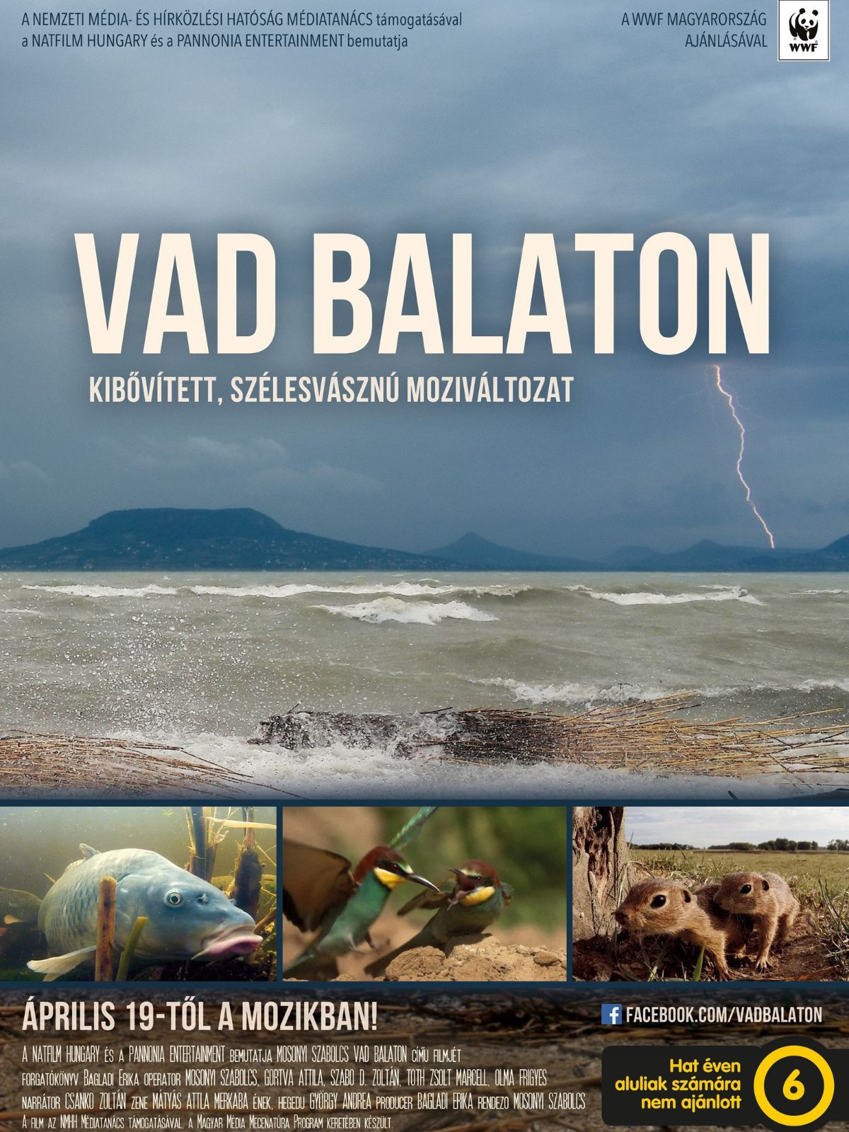 NFI - Egyetemi Filmklub: Mosonyi Szabolcs: Vad Balaton