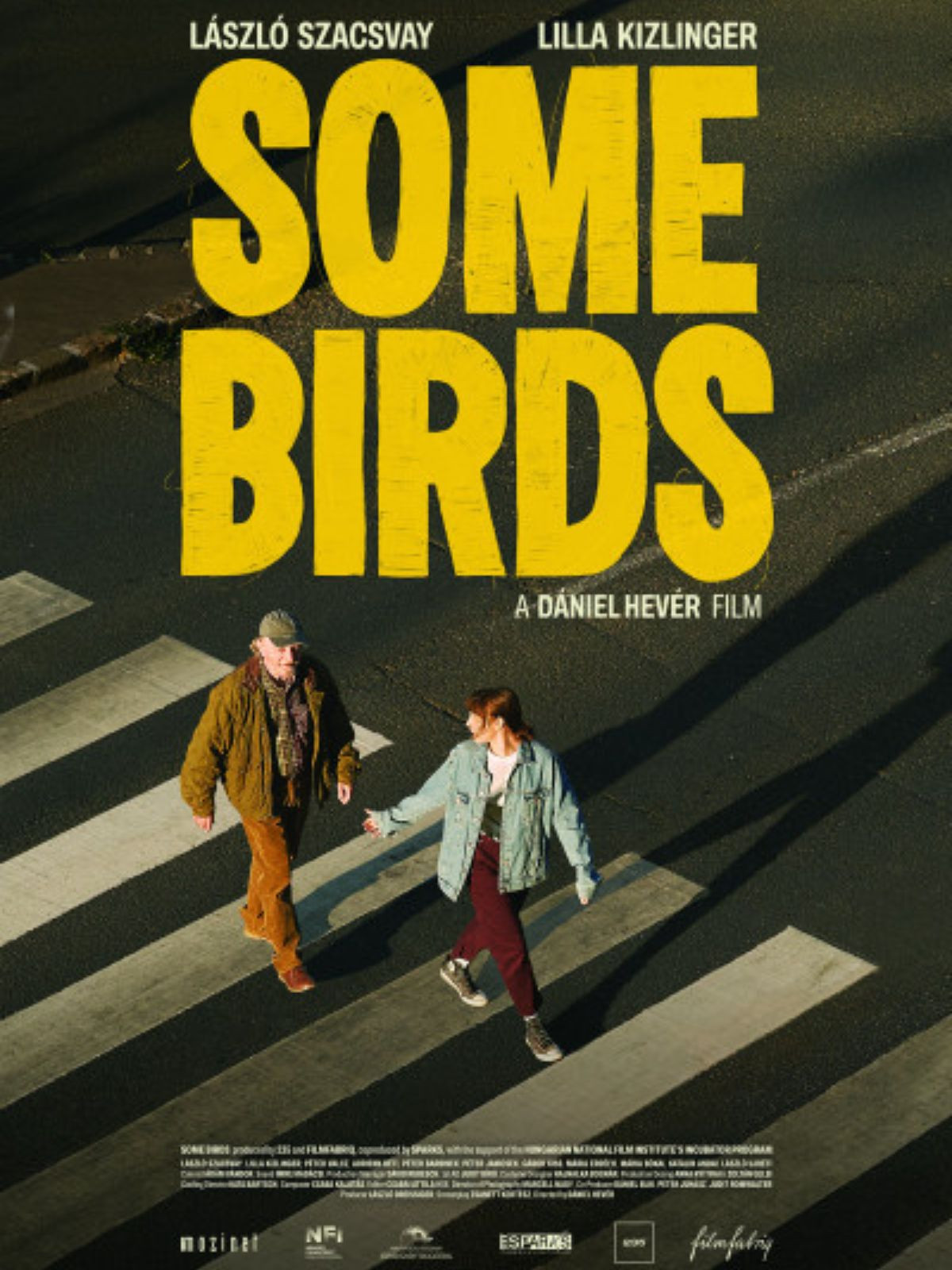 NFI - University Film Club: Dániel Hevér: Some Birds